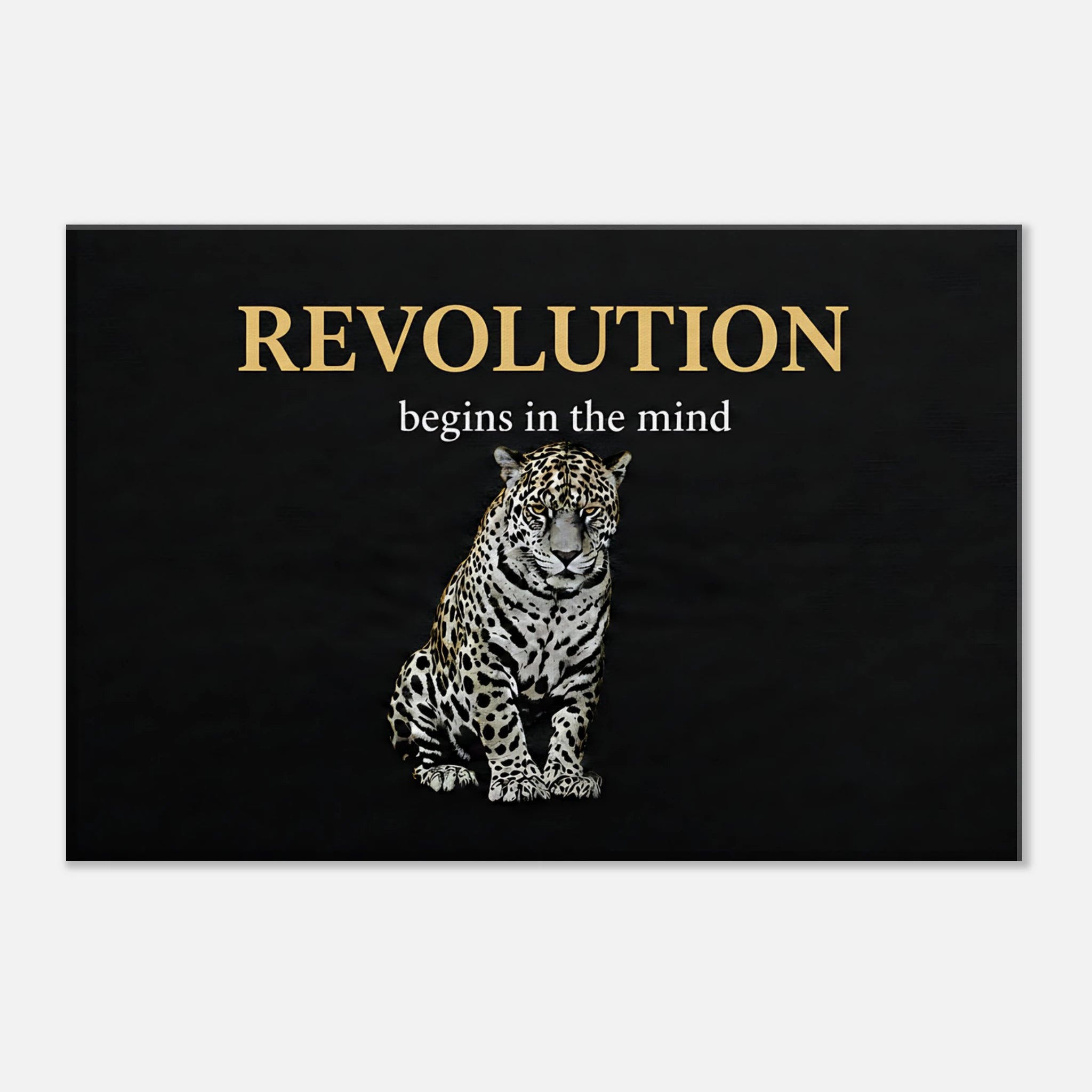 cdda6500-f3e7-4bbf-a409-f881de07bbdd