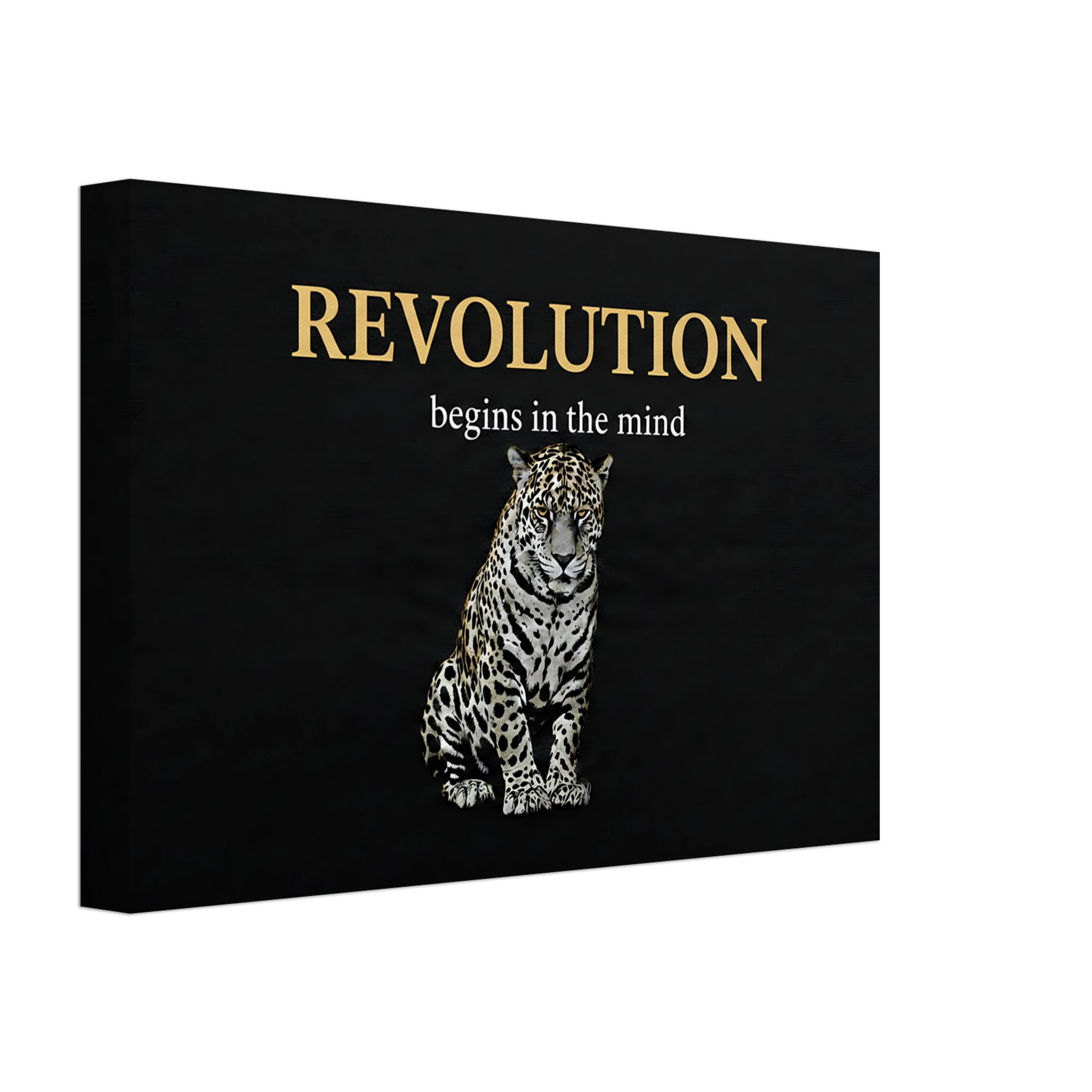 fca9cfa7-8b85-4bd3-a34b-e038a3be7e70